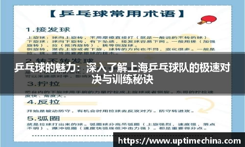 yy易游体育