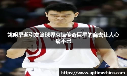米乐YY易游
