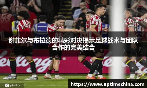 yy易游体育